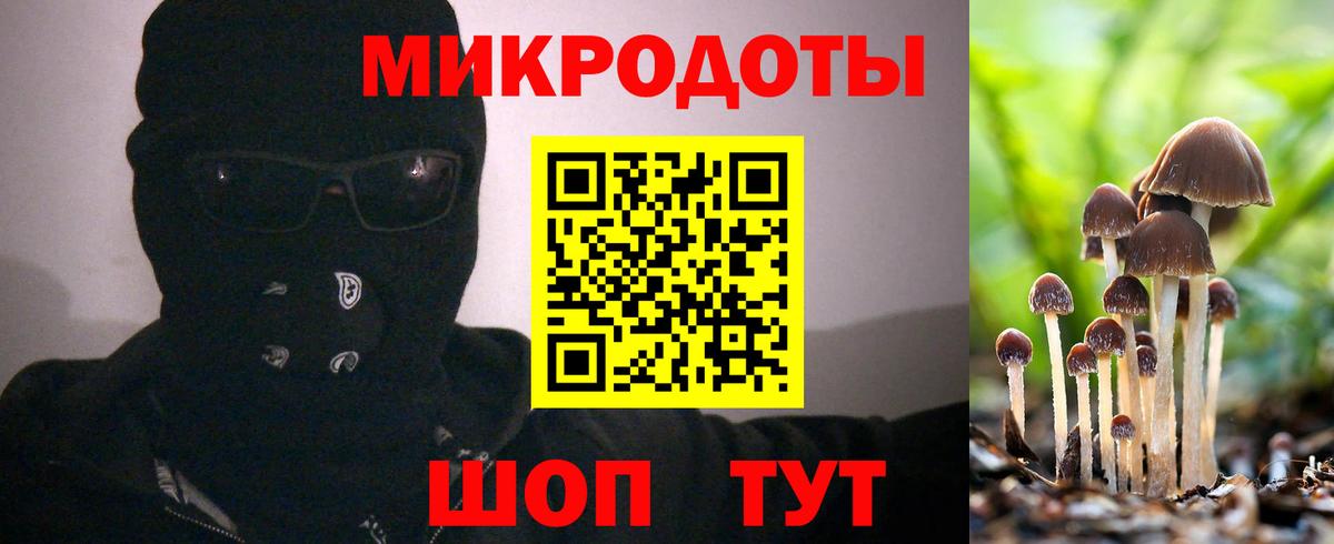 Сызрань  Псилоцибиновые грибы GOLDEN TEACHER  Вход с VPN 